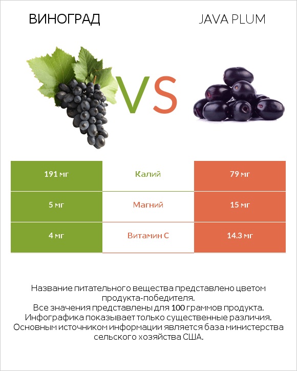 Виноград vs Java plum infographic