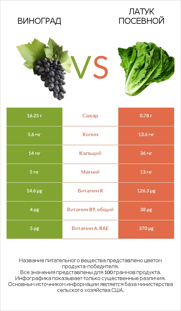Виноград vs Латук посевной infographic