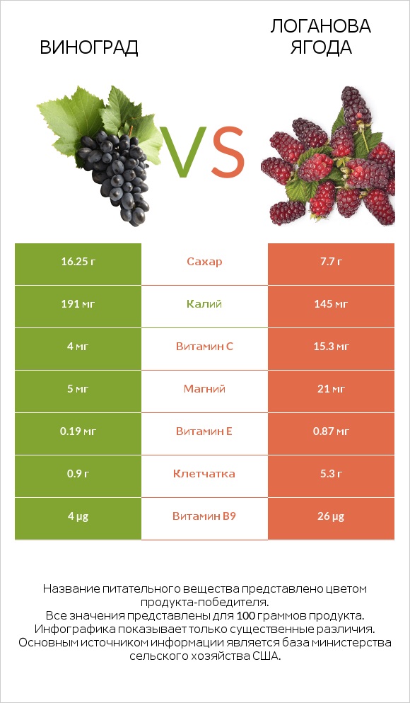 Виноград vs Логанова ягода infographic