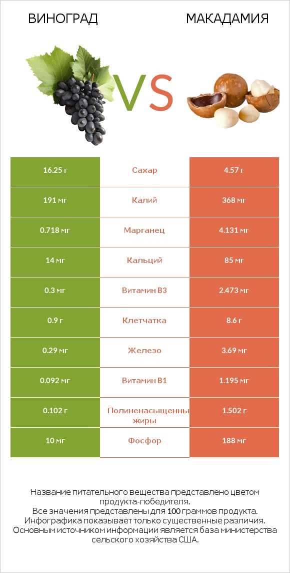 Виноград vs Макадамия infographic