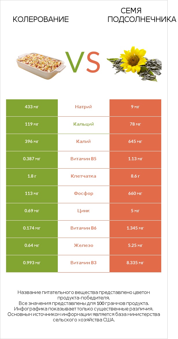 Колерование vs Семя подсолнечника infographic