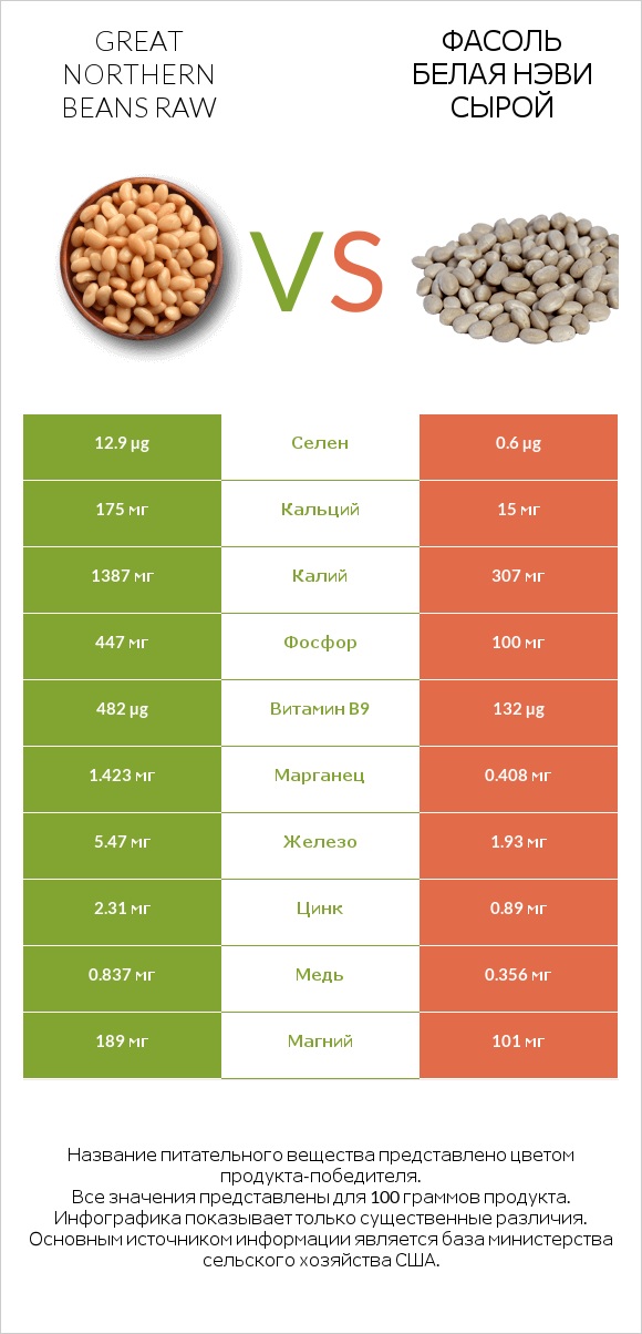 Great northern beans raw vs Фасоль белая нэви сырой infographic