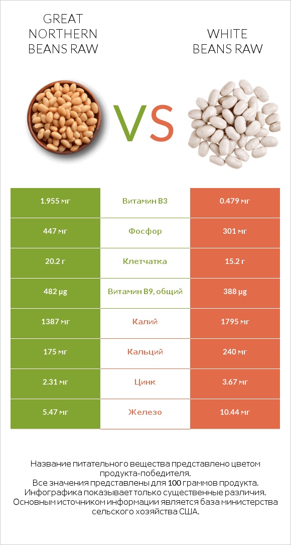 Great northern beans raw vs White beans raw infographic