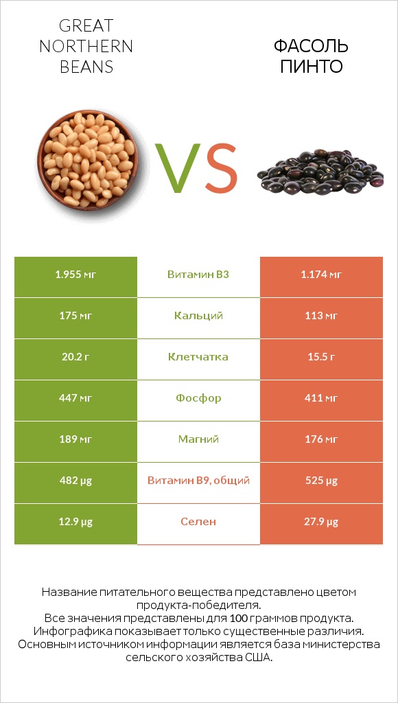 Great northern beans vs Фасоль пинто infographic