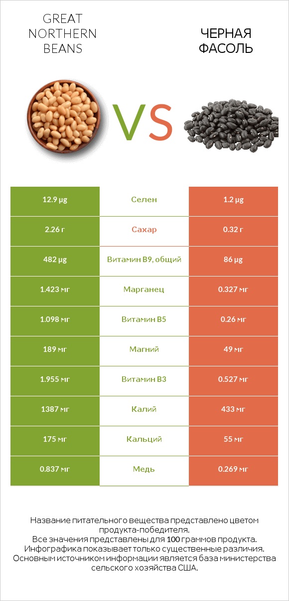 Great northern beans vs Черная фасоль infographic
