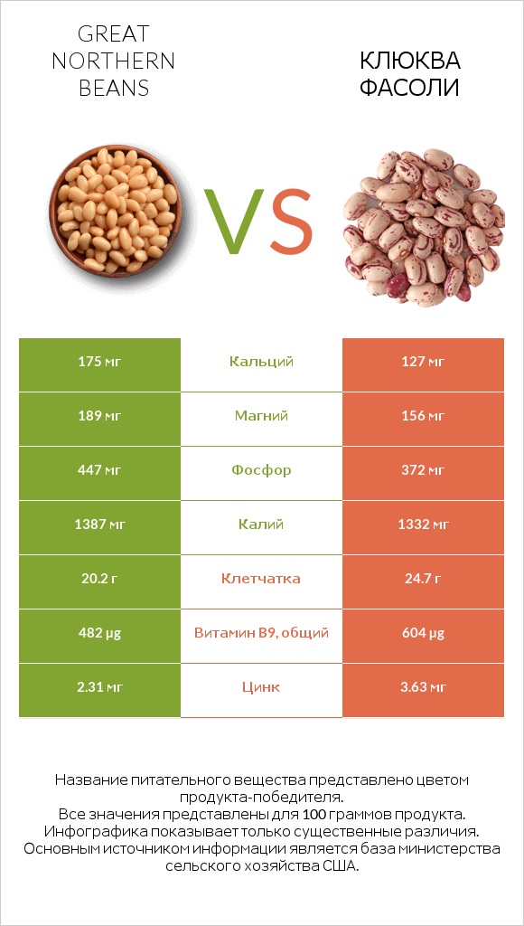 Great northern beans vs Клюква фасоли infographic