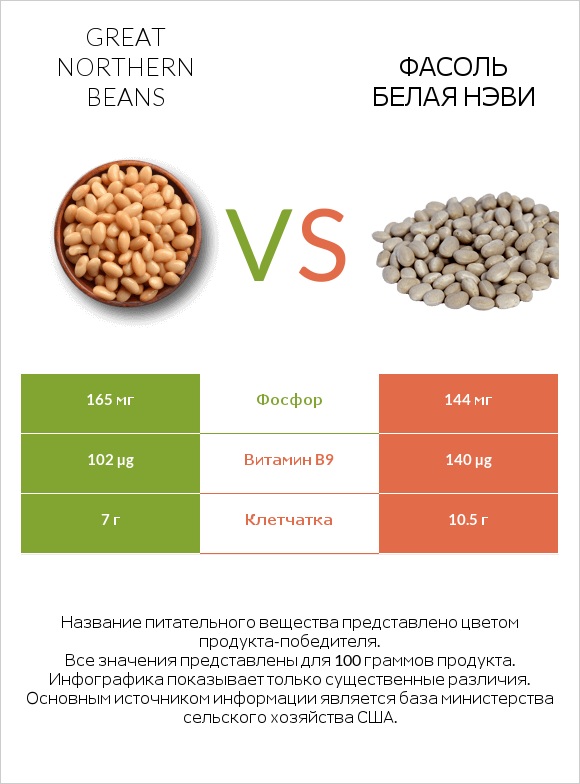 Great northern beans vs Фасоль белая нэви infographic