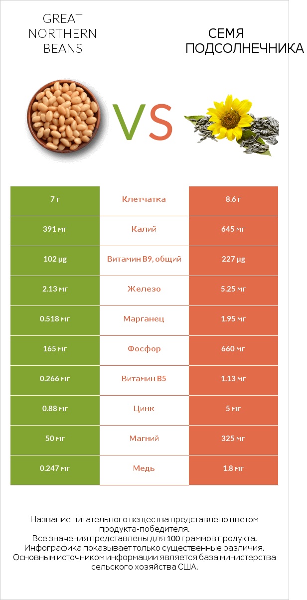 Great northern beans vs Семя подсолнечника infographic