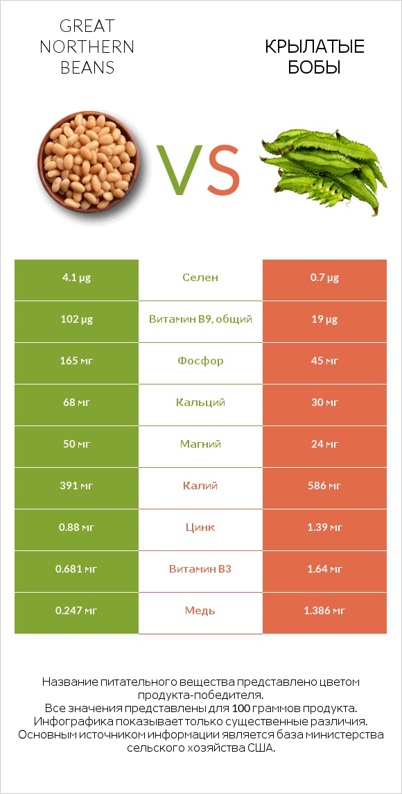Great northern beans vs Крылатые бобы infographic