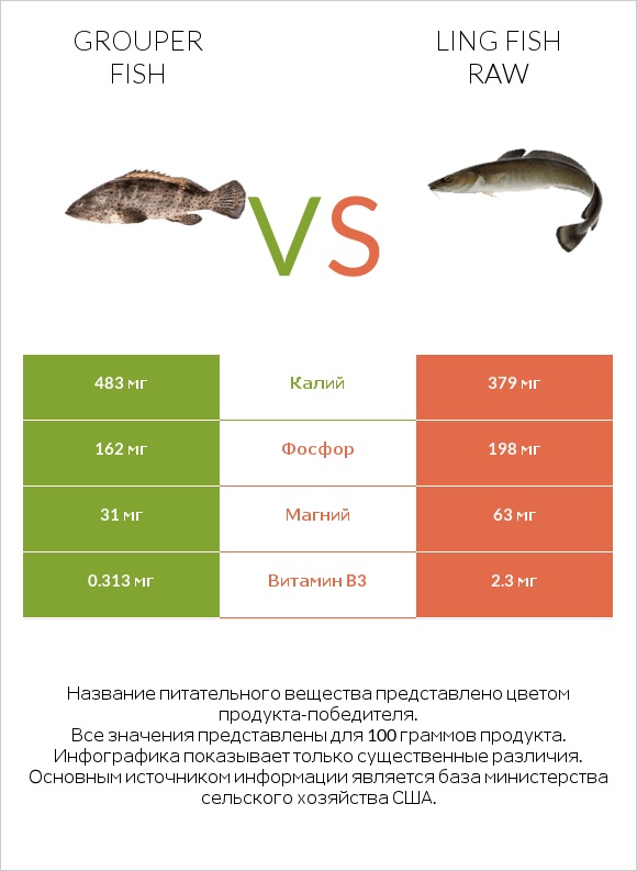 Grouper fish vs Ling fish raw infographic