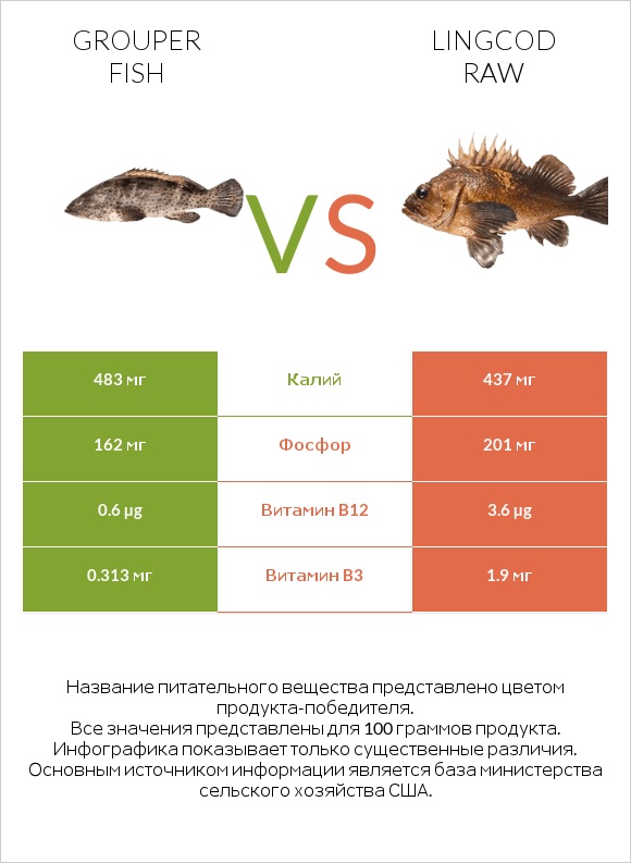 Grouper fish vs Lingcod raw infographic