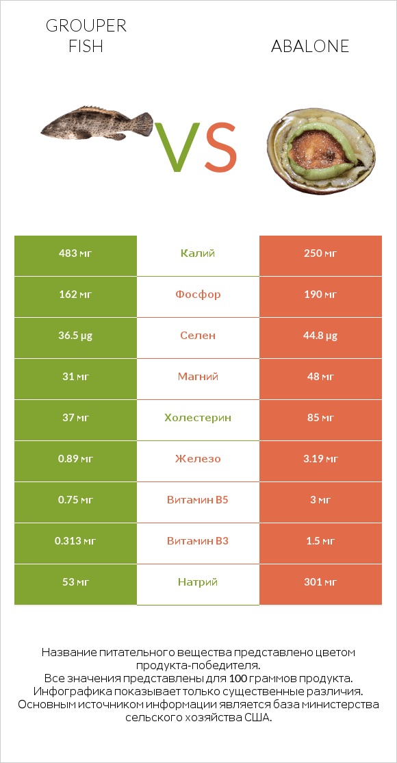 Grouper fish vs Abalone infographic