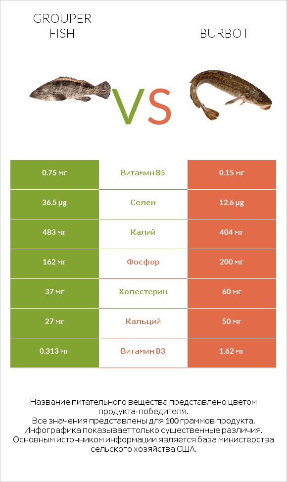 Grouper fish vs Burbot infographic