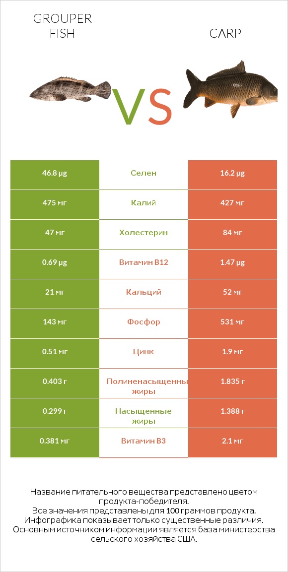 Grouper fish vs Carp infographic