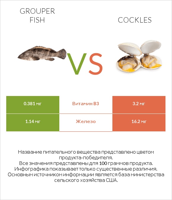 Grouper fish vs Cockles infographic