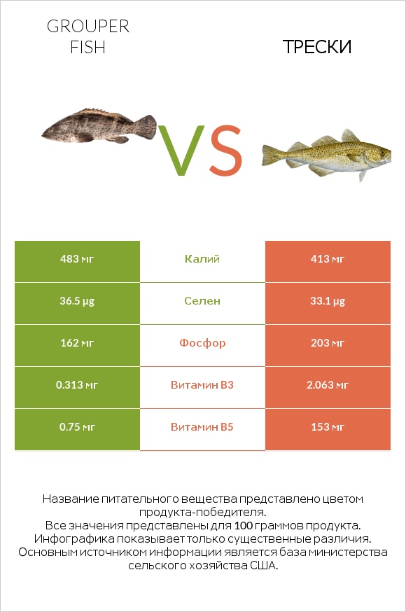 Grouper fish vs Трески infographic
