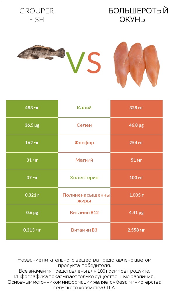 Grouper fish vs Большеротый окунь infographic