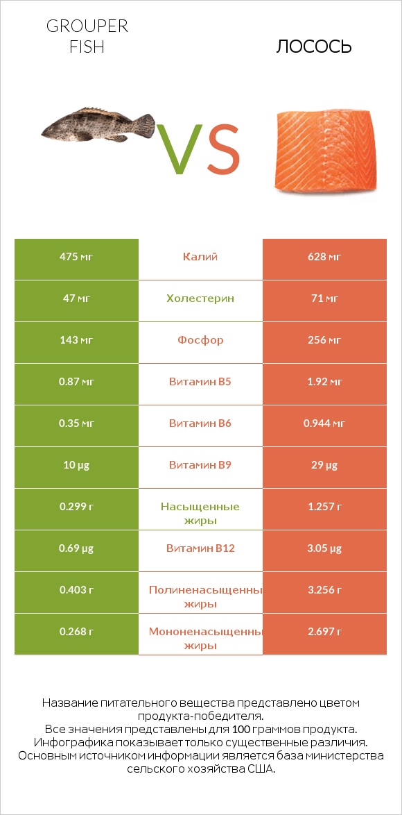 Grouper fish vs Лосось infographic