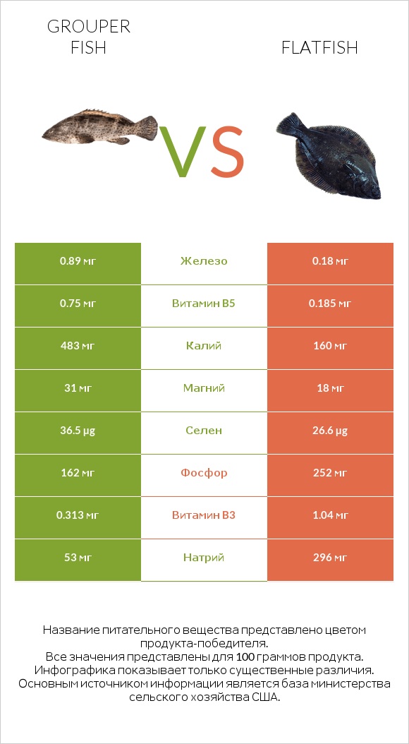 Grouper fish vs Flatfish infographic