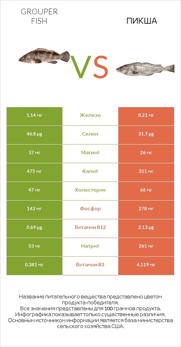 Grouper fish vs Пикша infographic