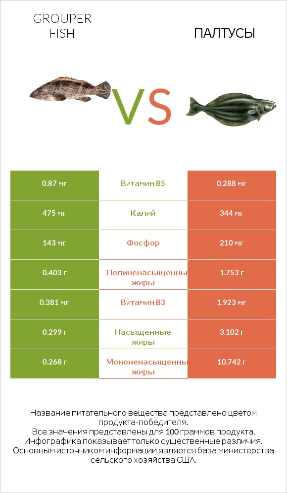 Grouper fish vs Палтусы infographic