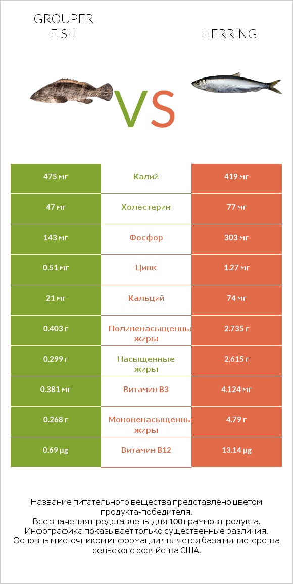 Grouper fish vs Herring infographic