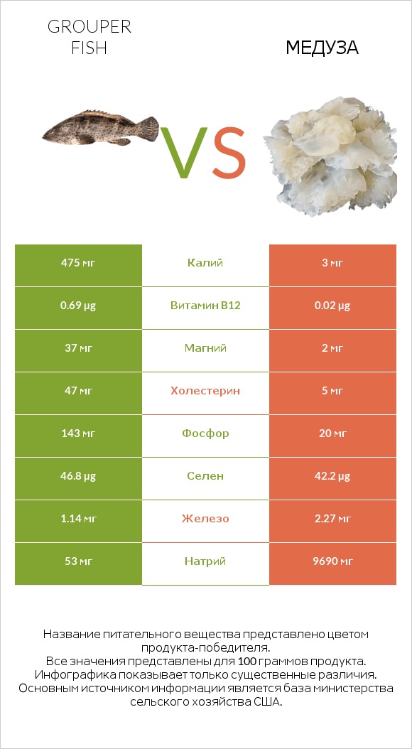 Grouper fish vs Медуза infographic