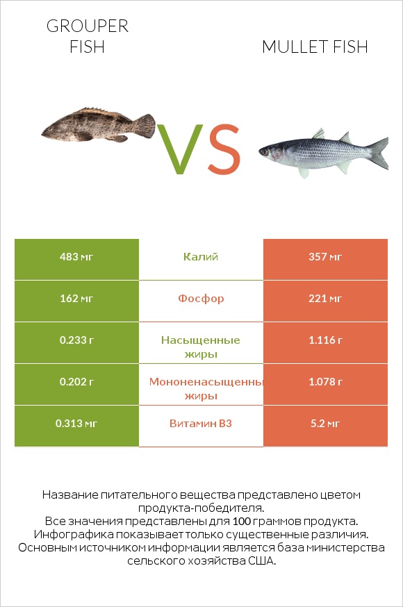 Grouper fish vs Mullet fish infographic