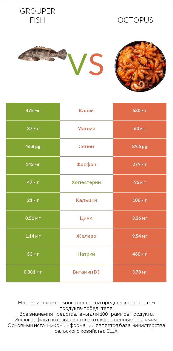 Grouper fish vs Octopus infographic