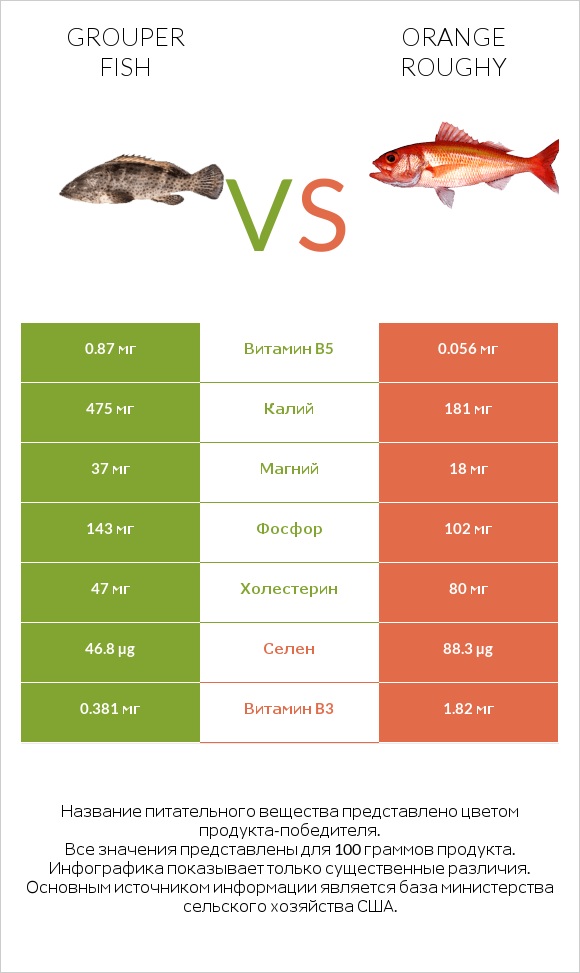 Grouper fish vs Orange roughy infographic