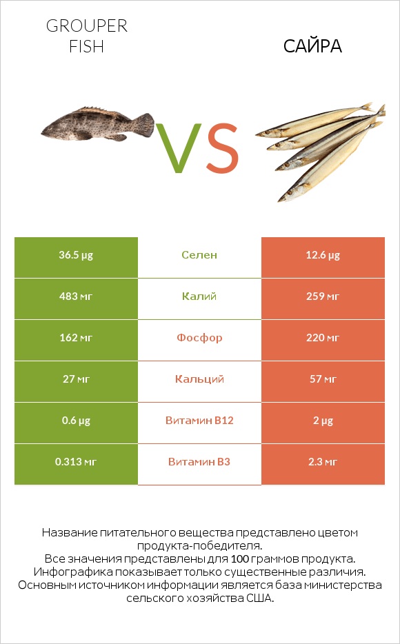 Grouper fish vs Сайра infographic