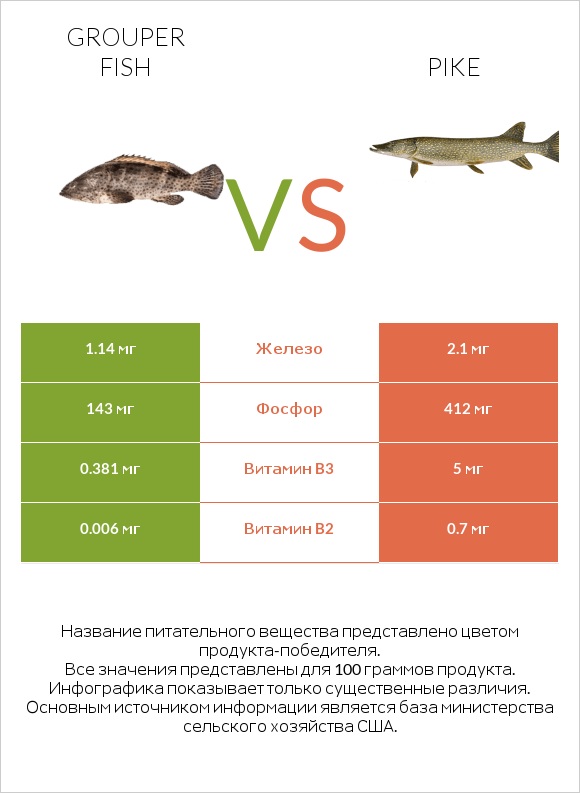 Grouper fish vs Pike infographic