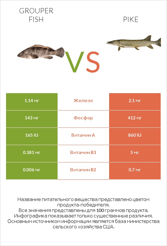 Grouper fish vs Pike infographic