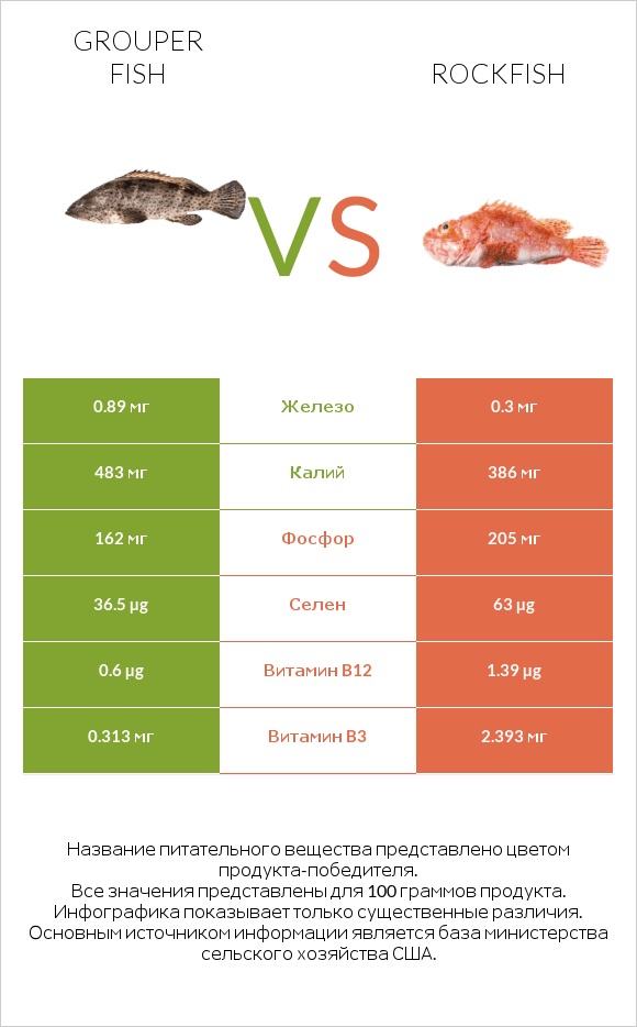 Grouper fish vs Rockfish infographic