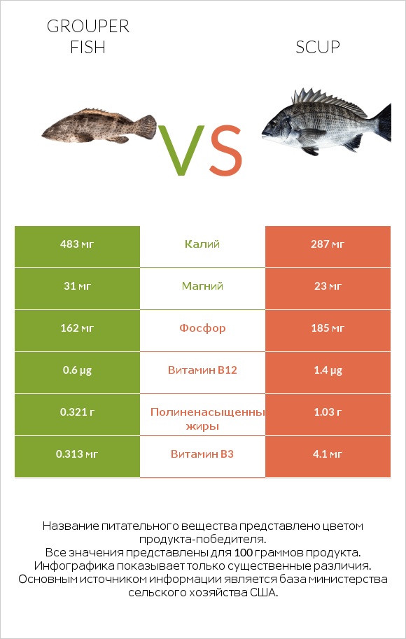 Grouper fish vs Scup infographic