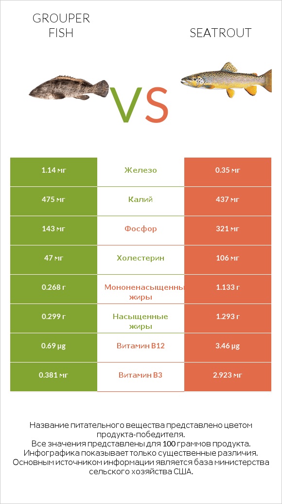 Grouper fish vs Seatrout infographic