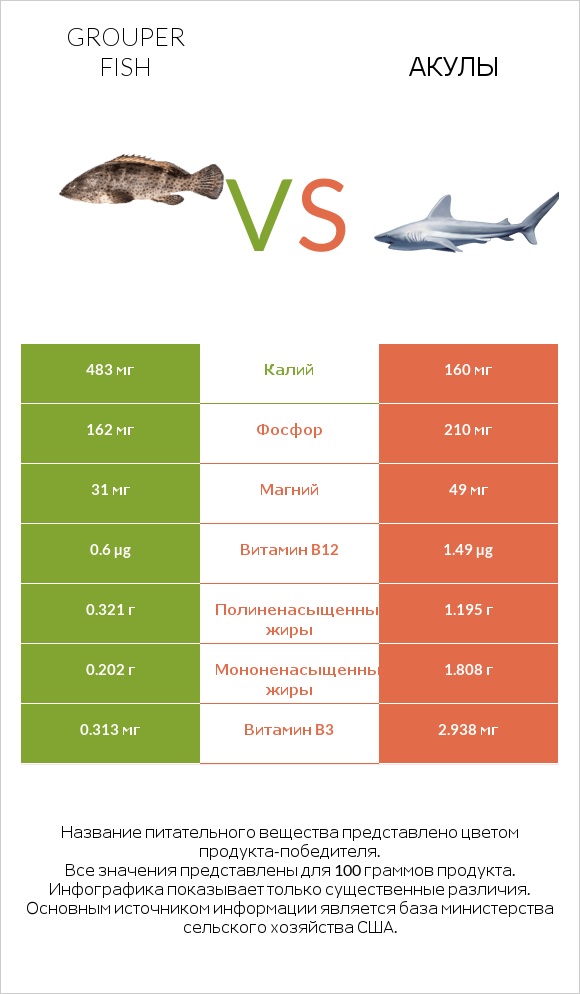 Grouper fish vs Акула infographic