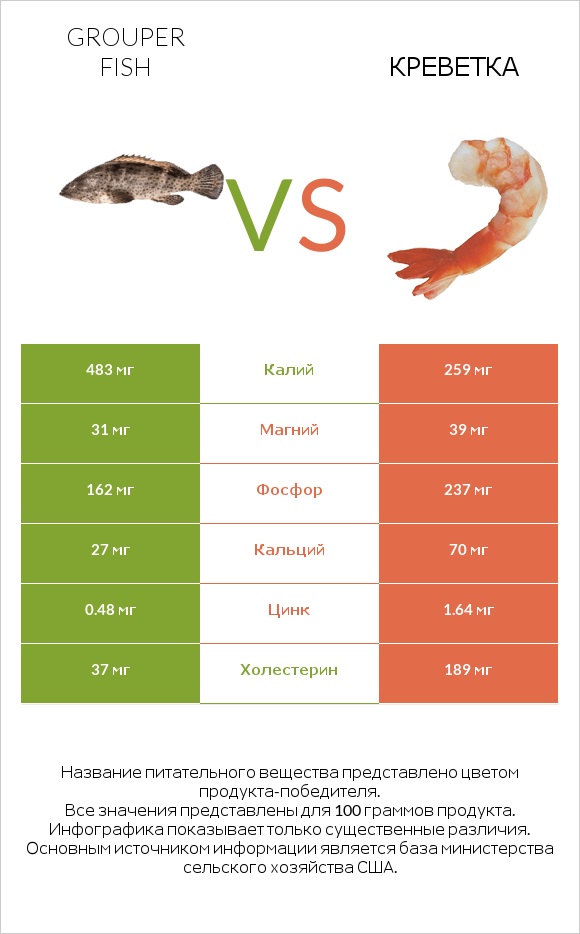 Grouper fish vs Креветка infographic