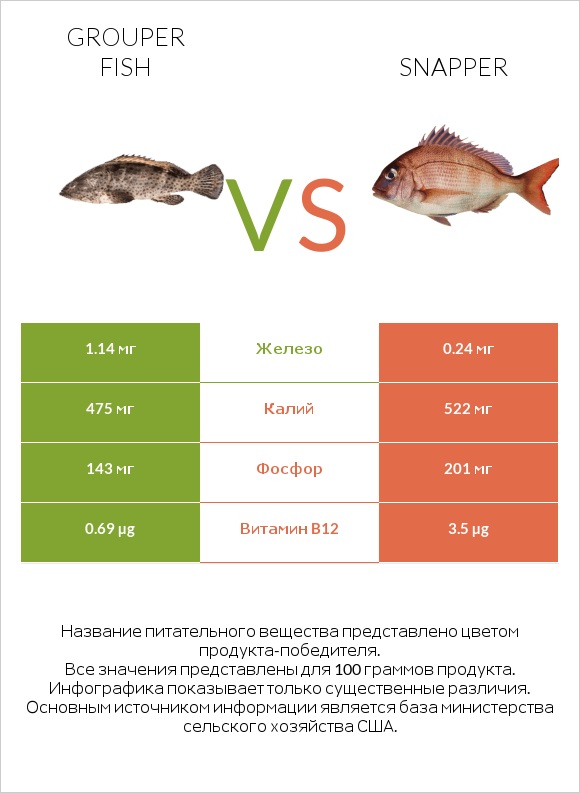 Grouper fish vs Snapper infographic