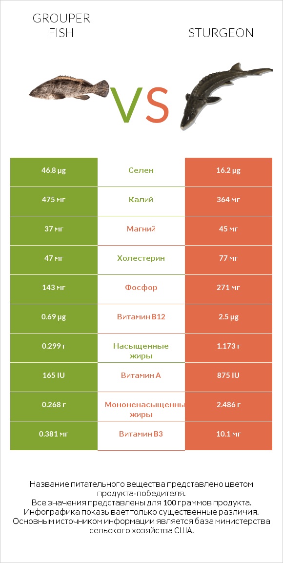 Grouper fish vs Sturgeon infographic