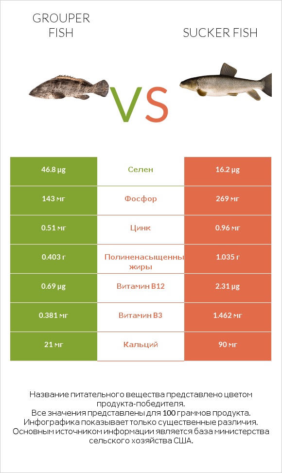 Grouper fish vs Sucker fish infographic