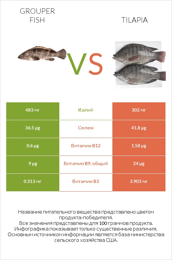 Grouper fish vs Tilapia infographic