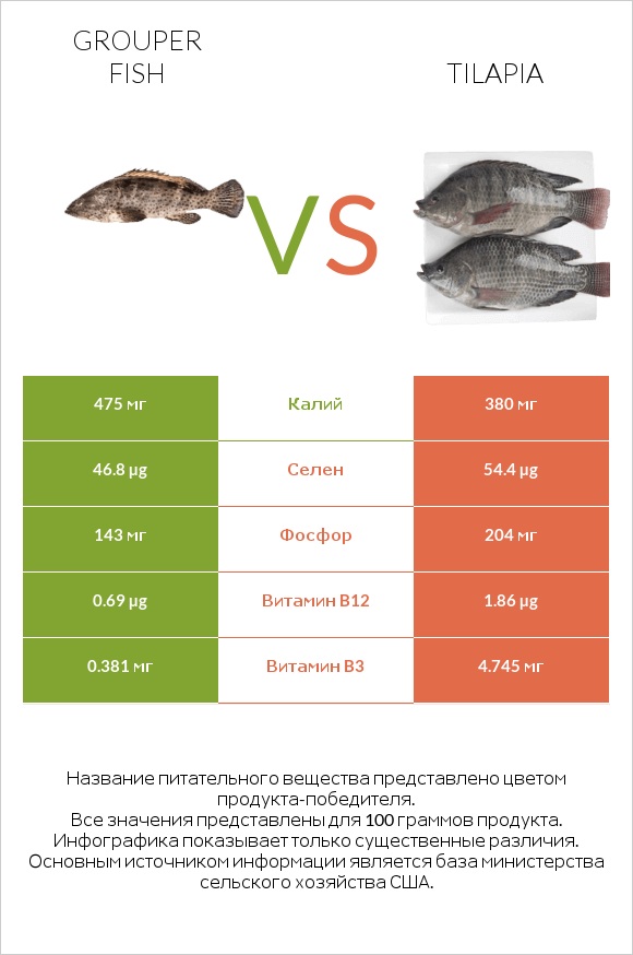 Grouper fish vs Tilapia infographic