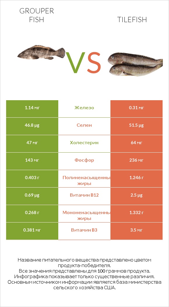 Grouper fish vs Tilefish infographic