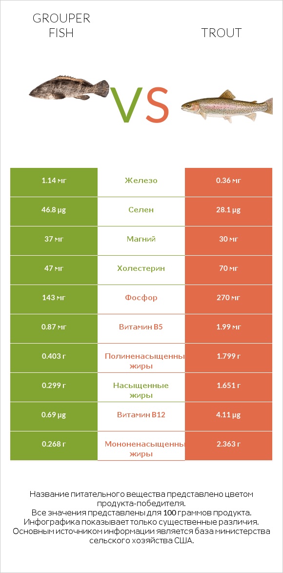 Grouper fish vs Trout infographic