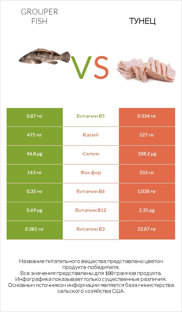 Grouper fish vs Тунец infographic