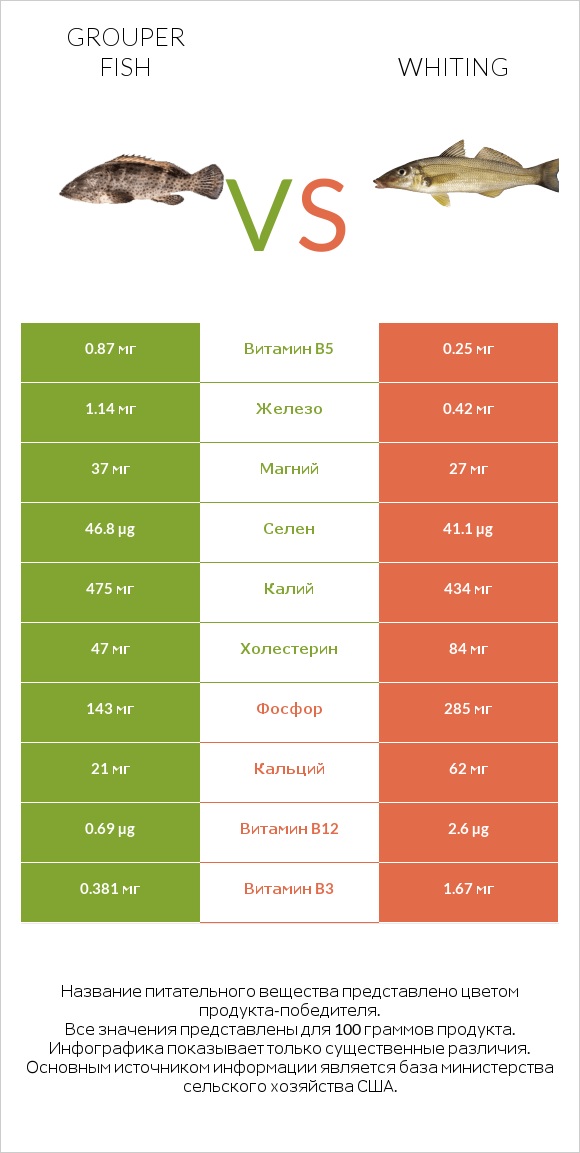 Grouper fish vs Whiting infographic