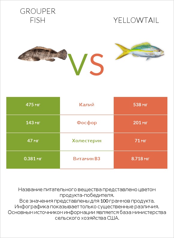 Grouper fish vs Yellowtail infographic