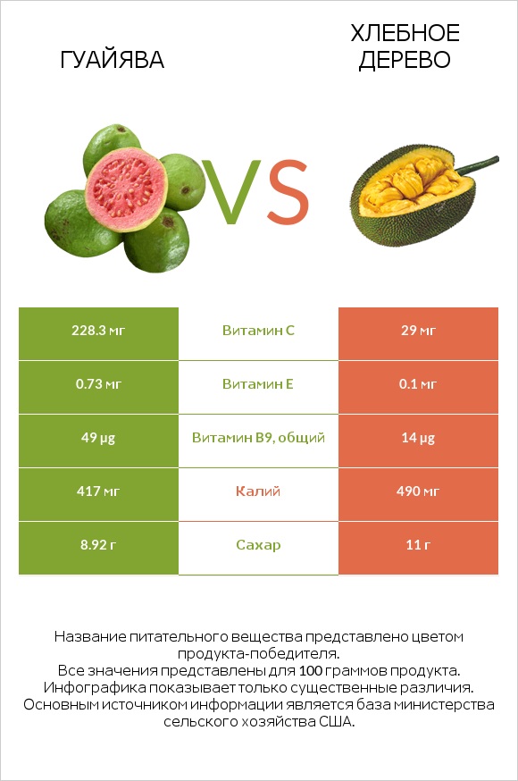 Гуайява vs Хлебное дерево infographic