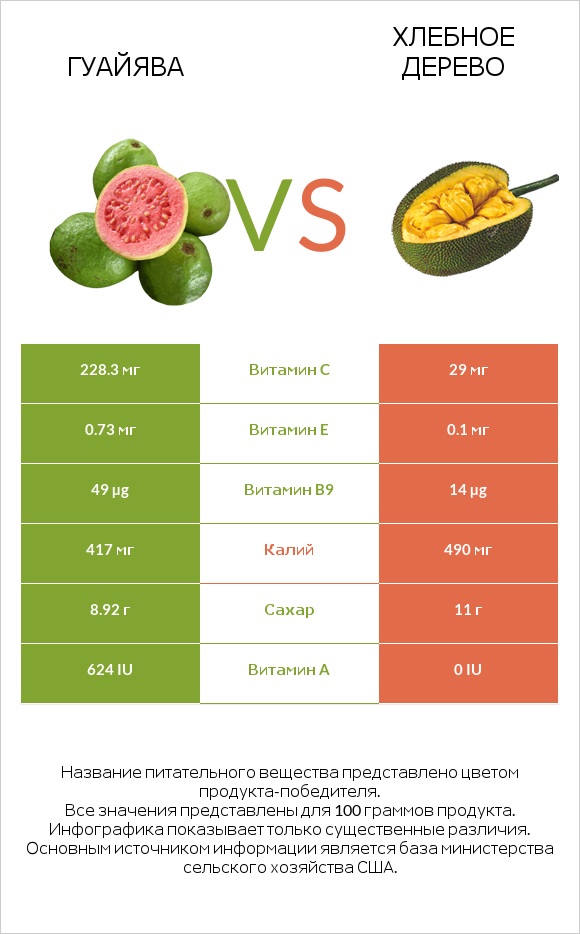 Гуайява vs Хлебное дерево infographic